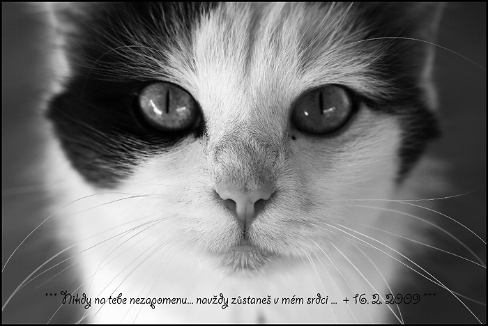 foto 026.....jpg